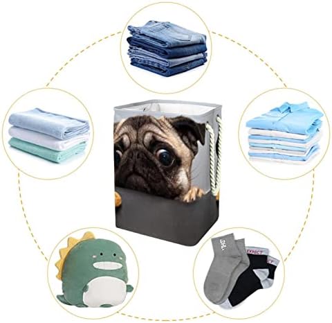 Korpa za veš lijepa Muška Mops štene pas sklopive korpe za veš firma kanta za pranje Odjeća skladište organizacija za kupatilo spavaća soba spavaonica