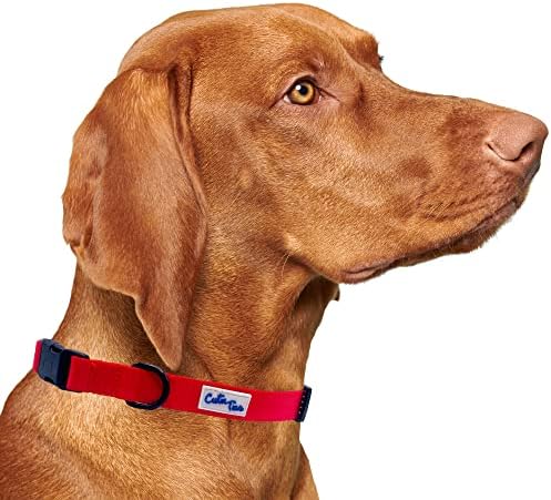 Cutie kravat ovratnik za pse - izdržljiv najlonski materijal - vrhunski ogrlice za pse - ukrasni ovratnici - slatki ovratnici za pse