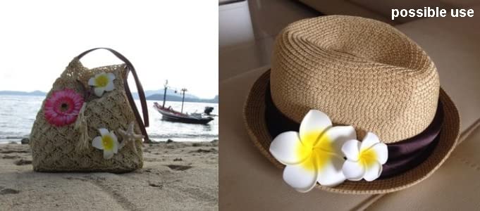 Paket: 6CT 2,5 Havajski cvjetovi za kosu za žene + 2CT prirodne loofah spužva