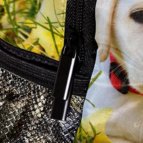 VBFOFBV ruksak za ženske pantalonske bakfa za laptop, putničku torbu, životinjski štenad Ginkgo list jesen