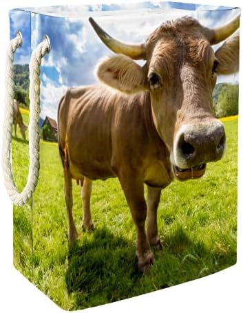 DEYYA vodootporne korpe za veš visoke čvrste sklopive smeđe goveda na otvorenom polju Print Hamper za odrasle djecu Teen Boys Djevojke