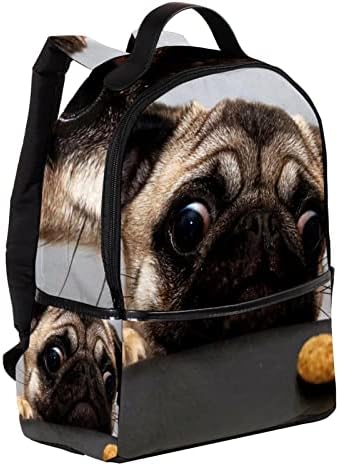VBFOFBV ruksak za žene Daypack backpad bagera za laptop Putujte casual torba, životinjski pug i biskvit