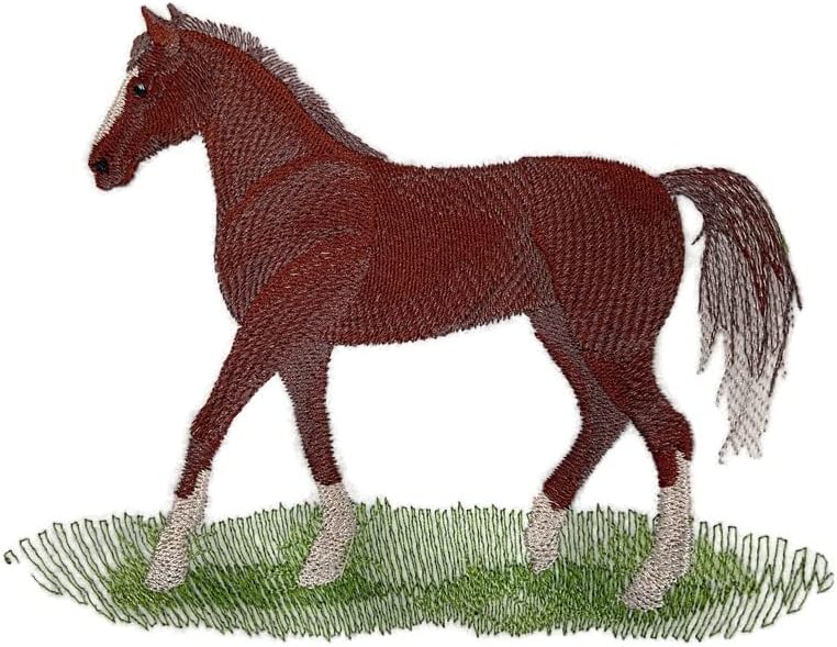 Iza vizije Custom Horse [Morgan Horse] Vezeg željeza na / sew flaster [6.48 Š x 5.31]