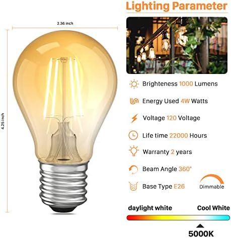 E26 Zatamnjive Vintage LED Edison sijalice , A60 Antique Vintage Style Light, 5000k Daylight White, 22,000 sati životnog vijeka, 110v-130v,